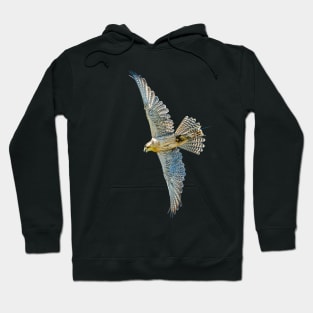 Falconers hybrid Gyr falcon in flight Hoodie